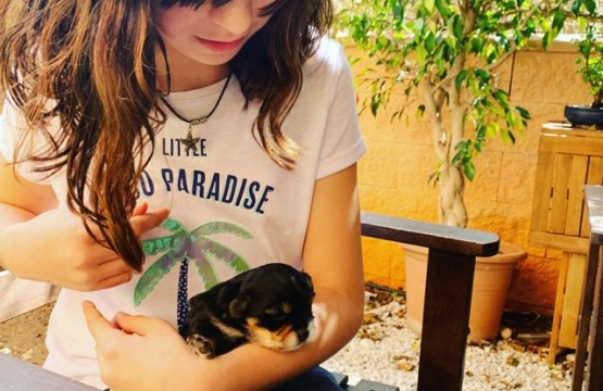 Solo la empatía puede salvar el mundo