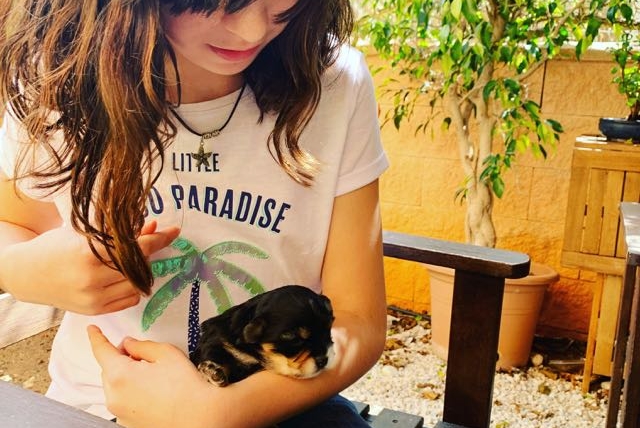 Solo la empatía puede salvar el mundo