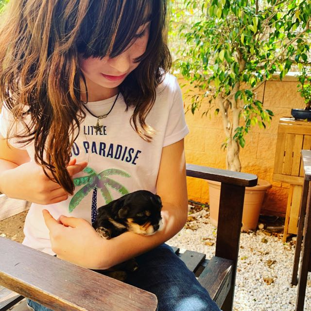 Solo la empatía puede salvar el mundo