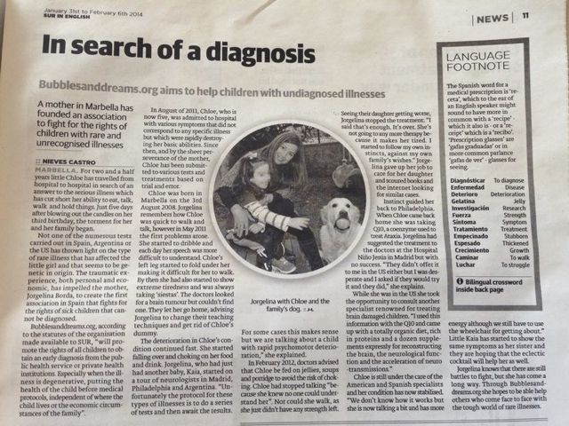 Diario Sur English 06.02.2014