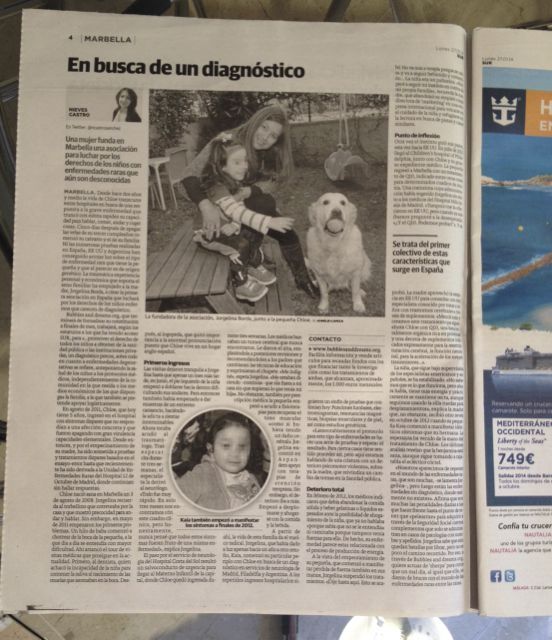 Diario Sur Español